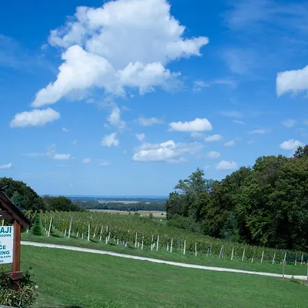 אתר קמפינג Silva *