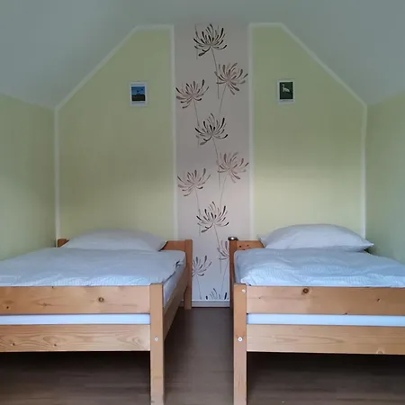 Silva ליוטומר