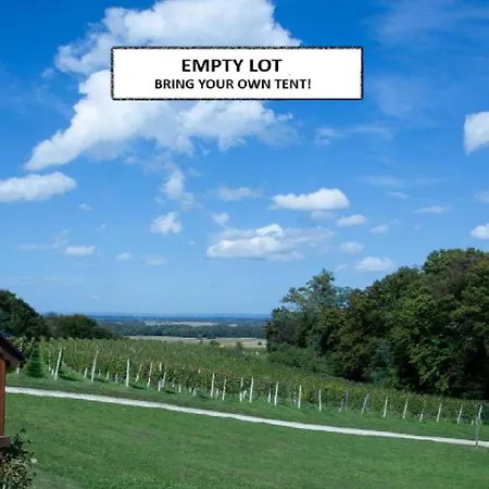 Silva ליוטומר