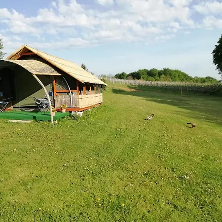 אתר קמפינג Silva