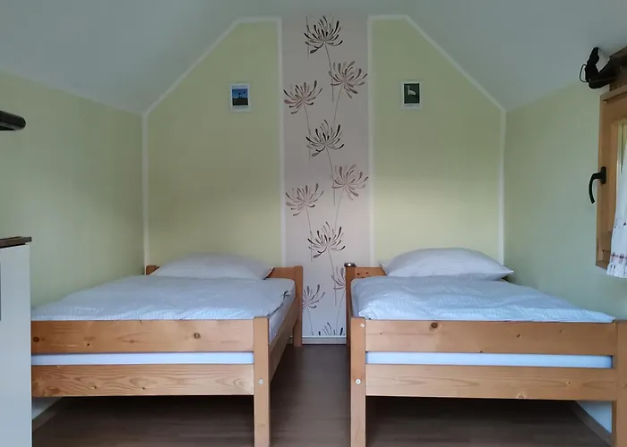 Silva リュトメル