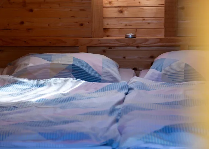 キャンプ場 Silva *