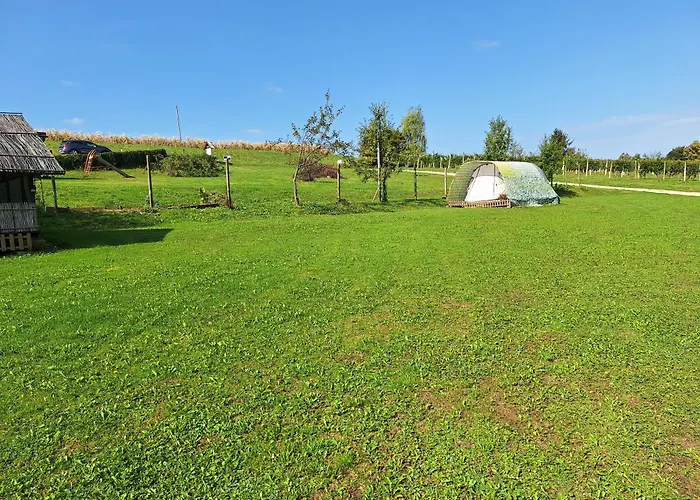 Silva リュトメル